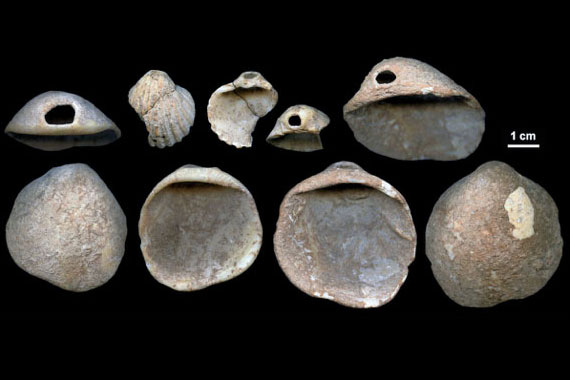 Parure préhistorique, coquillages percés colorés, 115000 ans Espagne